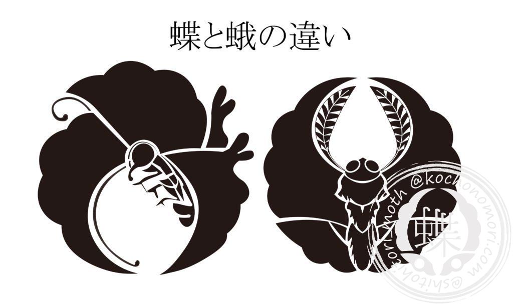 蝶と蛾の違い