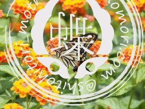 ナミアゲハ swallowtail-butterfly-802286_1280