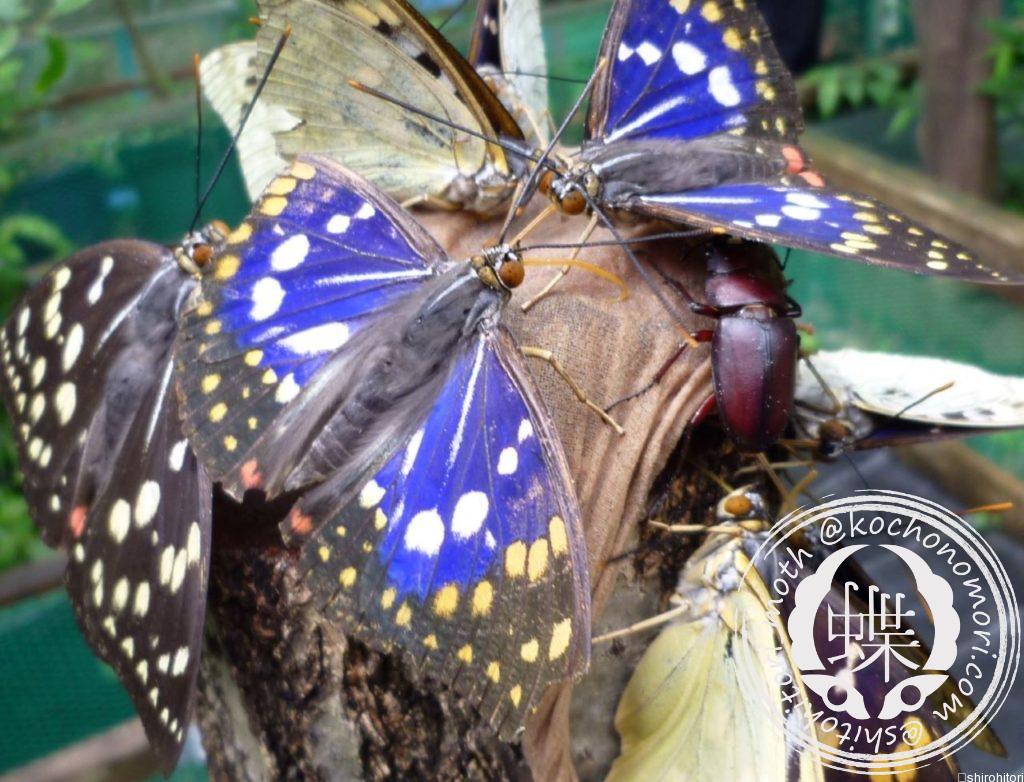 1b60c2aa61378944cacdac5d97b1d9c9 m