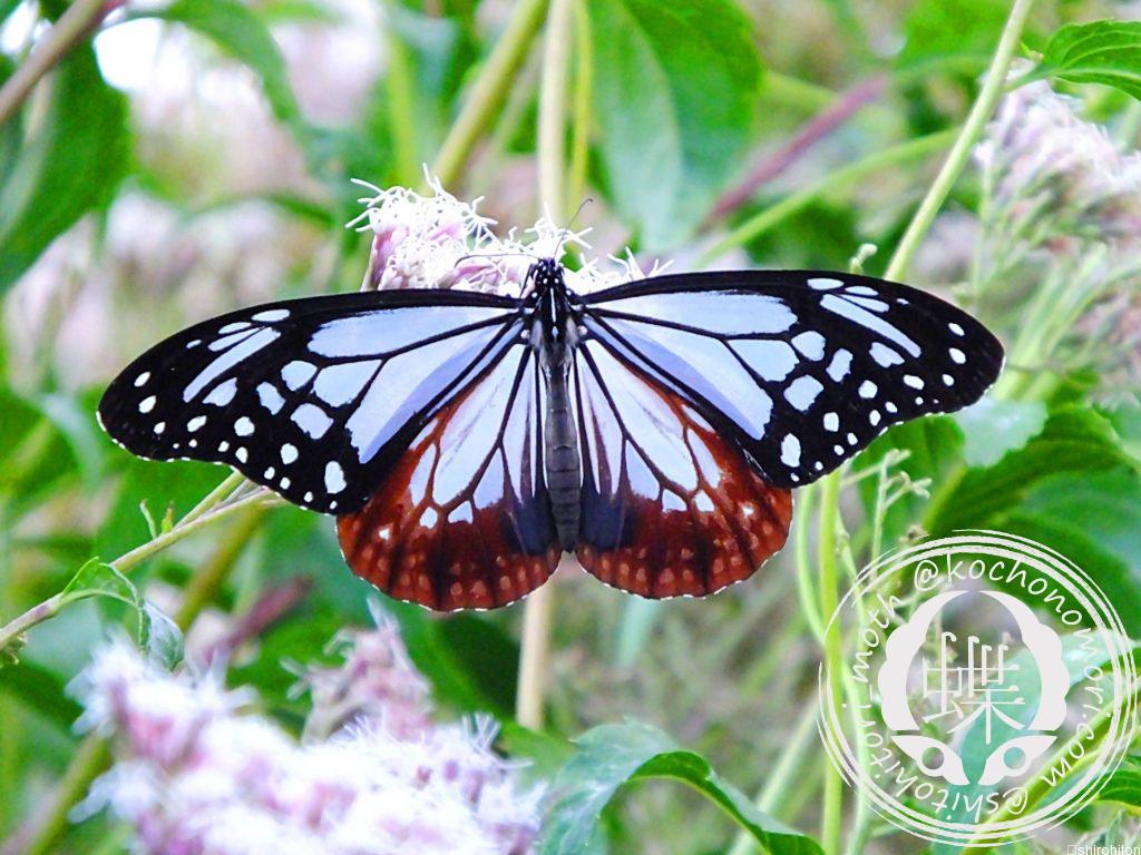 ac4dfb037bbd66a14bf58acf35d49592 m