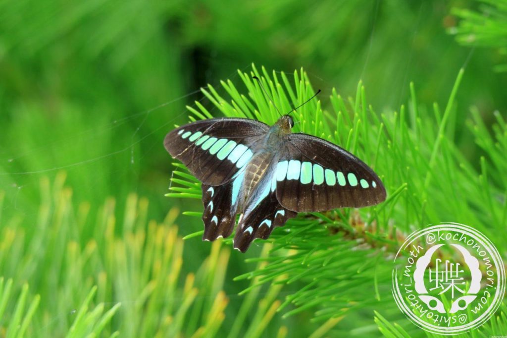 0ee0cde4c4d4085ab40bcad30415f169 m e1581495351827