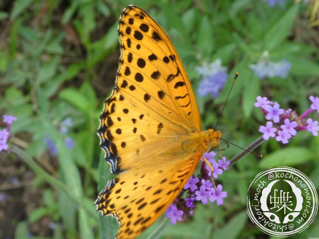 46d6a9faed1c7d059b97c17894cdabaf m e1580773591309