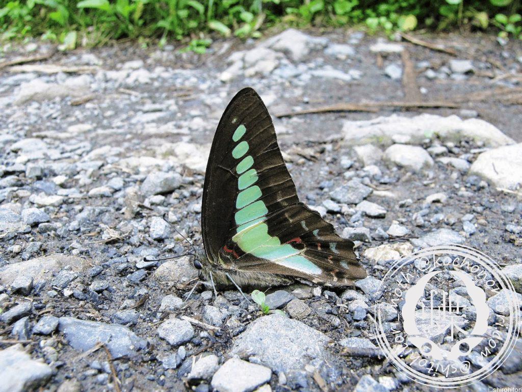 cf953a3f5fea5e4991795360ad7bacbd m min