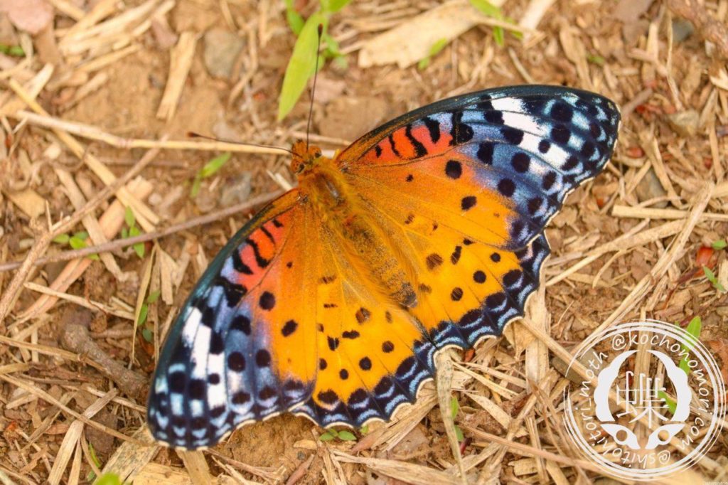 f6f293f432fb3d010d79c1228f073a5f m e1580688985445