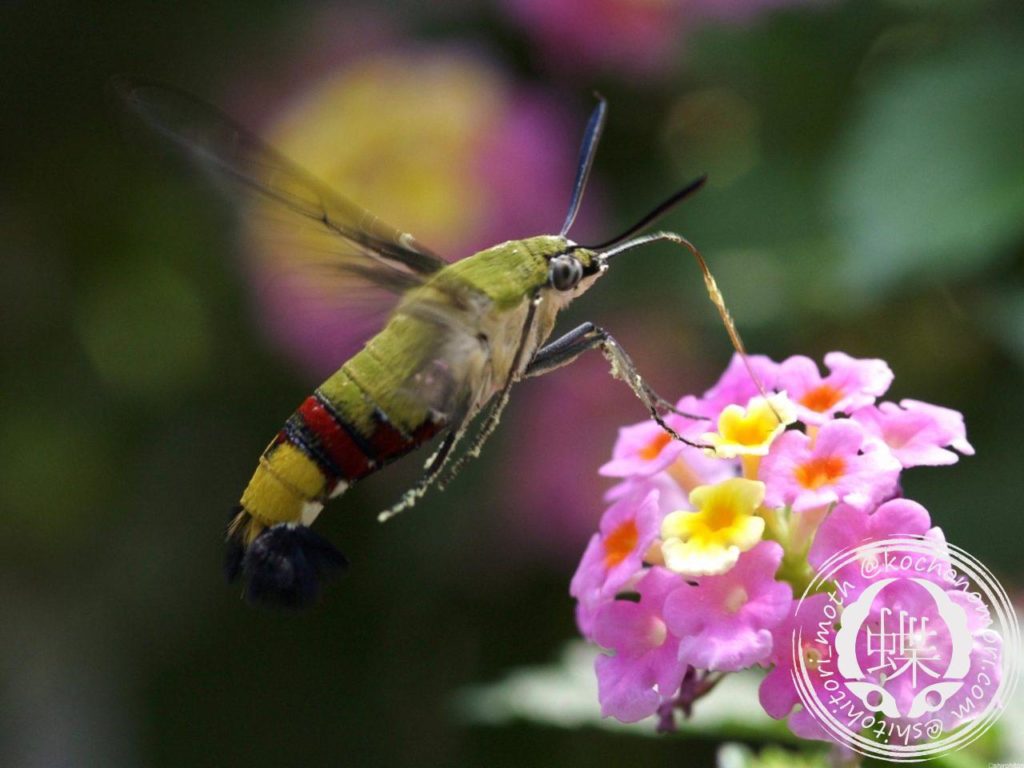 f9e3633f0bab03889eb313db06d029dc m e1582596698222