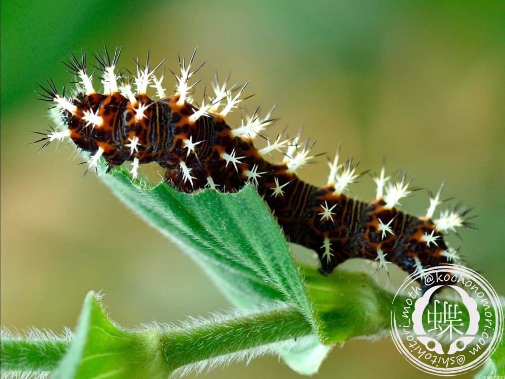 8f5e6ac235d25bda893447fdf709bc07 m min