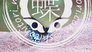 アメリカアオイチモンジ