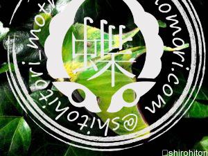 アメリカオオミズアオ アメリカオオミズアオ