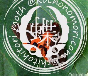 ヒトリガ ヒトリガ