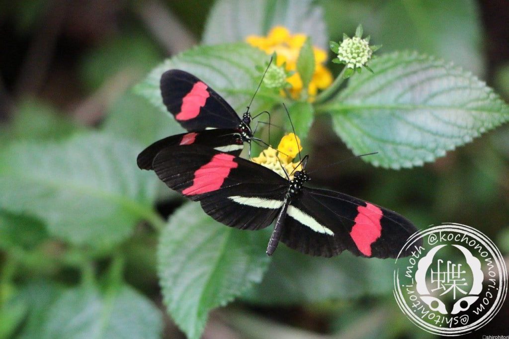 small postbote 3749695 1280 min