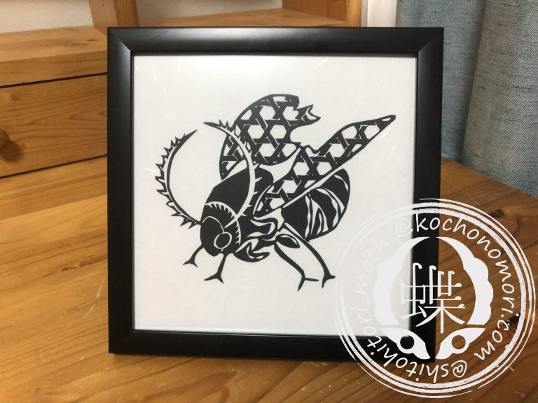 投稿についてもっと詳しく 籠目雀蛾