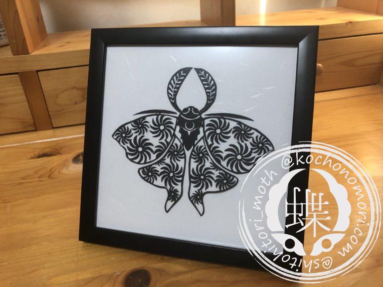 投稿についてもっと詳しく 毛卍蚕