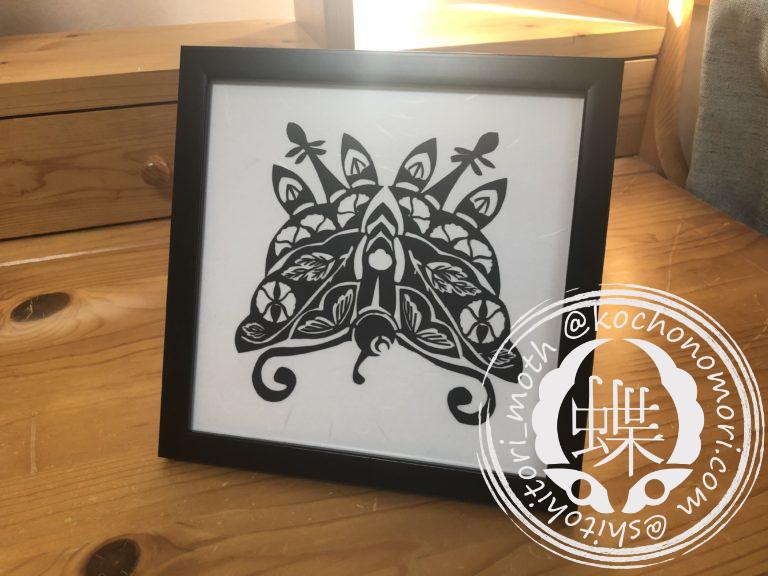 投稿についてもっと詳しく 牡丹蝶