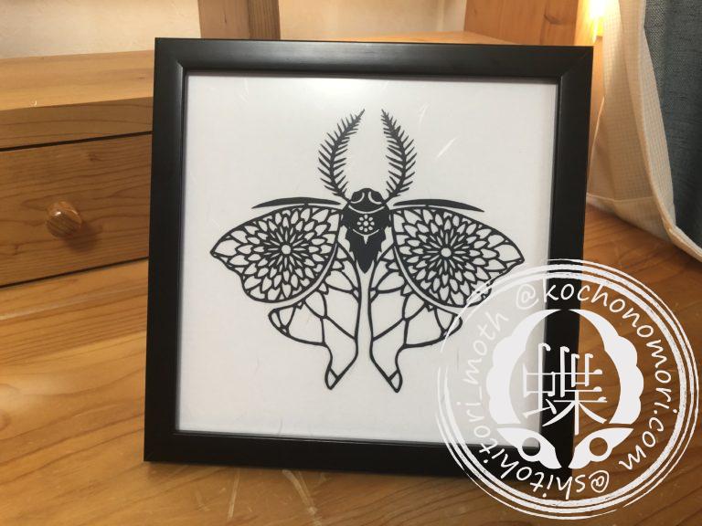 投稿についてもっと詳しく 大菊蚕