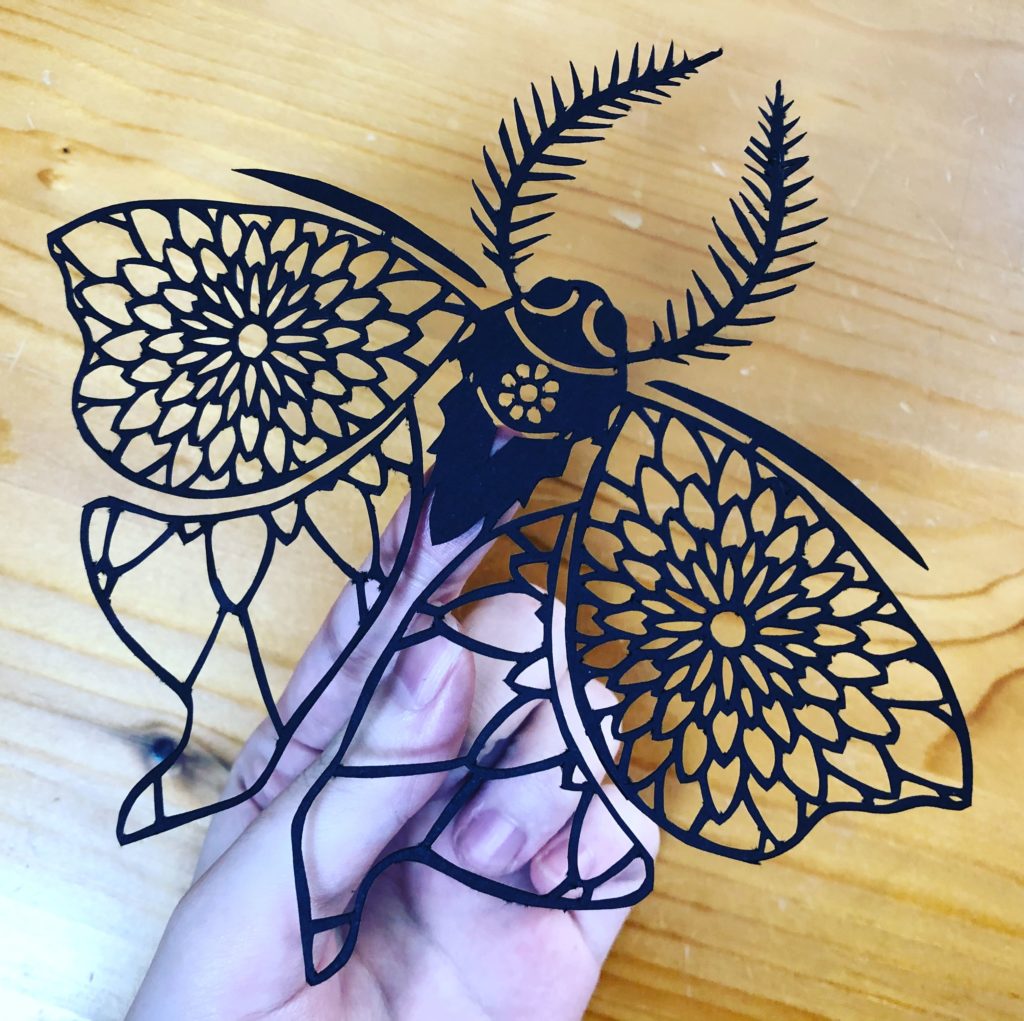 DE53D8FE FF81 45D7 ACC3 60FA28B5F55D min